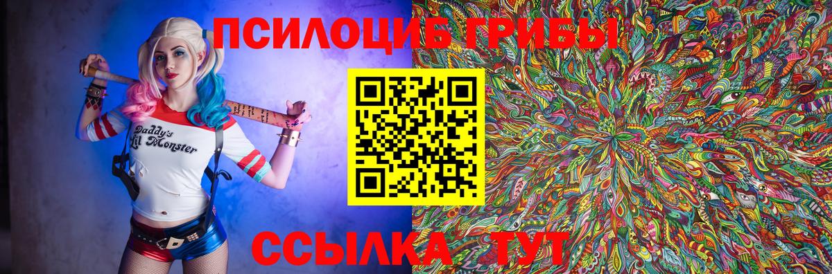 Камышин  Галлюциногенные грибы прущие грибы  Вход с VPN 